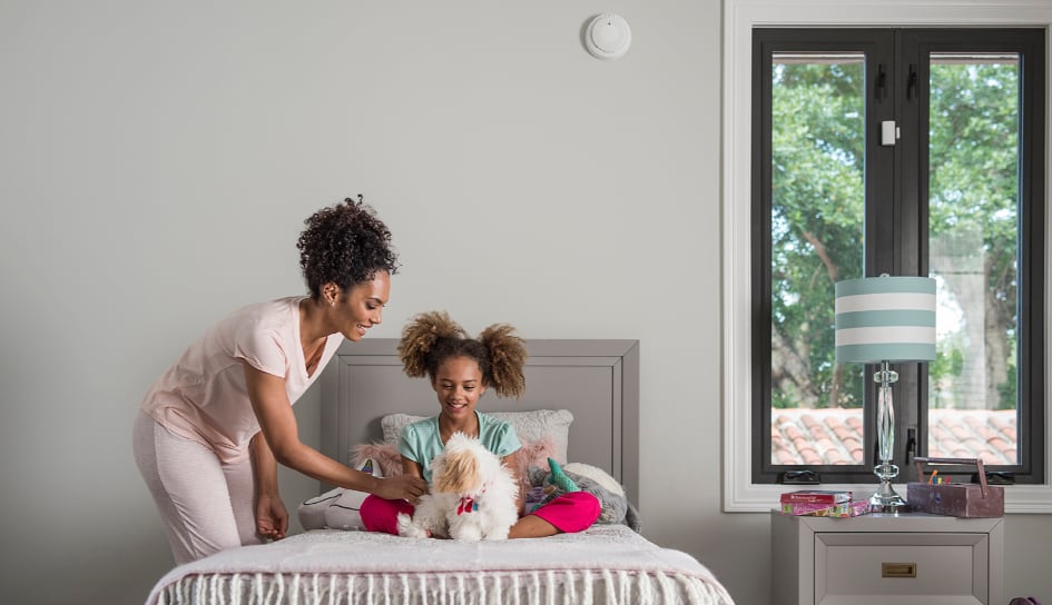 Rochester carbon monoxide detector